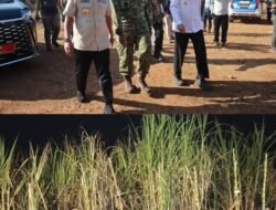 Wabup Takalar Hadiri Panen Raya Tebu TNI Bersama Gubernur Sulsel