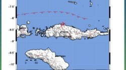Gempa M3.1 Guncang Laut Utara Ruteng Manggarai, BMKG: Tidak Berpotensi tsunami