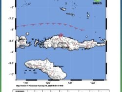Gempa M3.1 Guncang Laut Utara Ruteng Manggarai, BMKG: Tidak Berpotensi tsunami