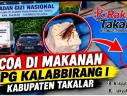 Makanan Anak Sekolah Terancam! Dapur MBG Takalar Diteror Kecoa*