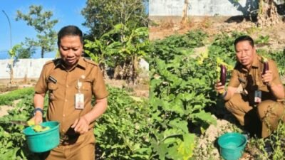 Lahan Tidur Disulap Jadi Produktif, Kadis Pertanian Takalar: Silakan Petik, Untuk Masyarakat Juga Boleh